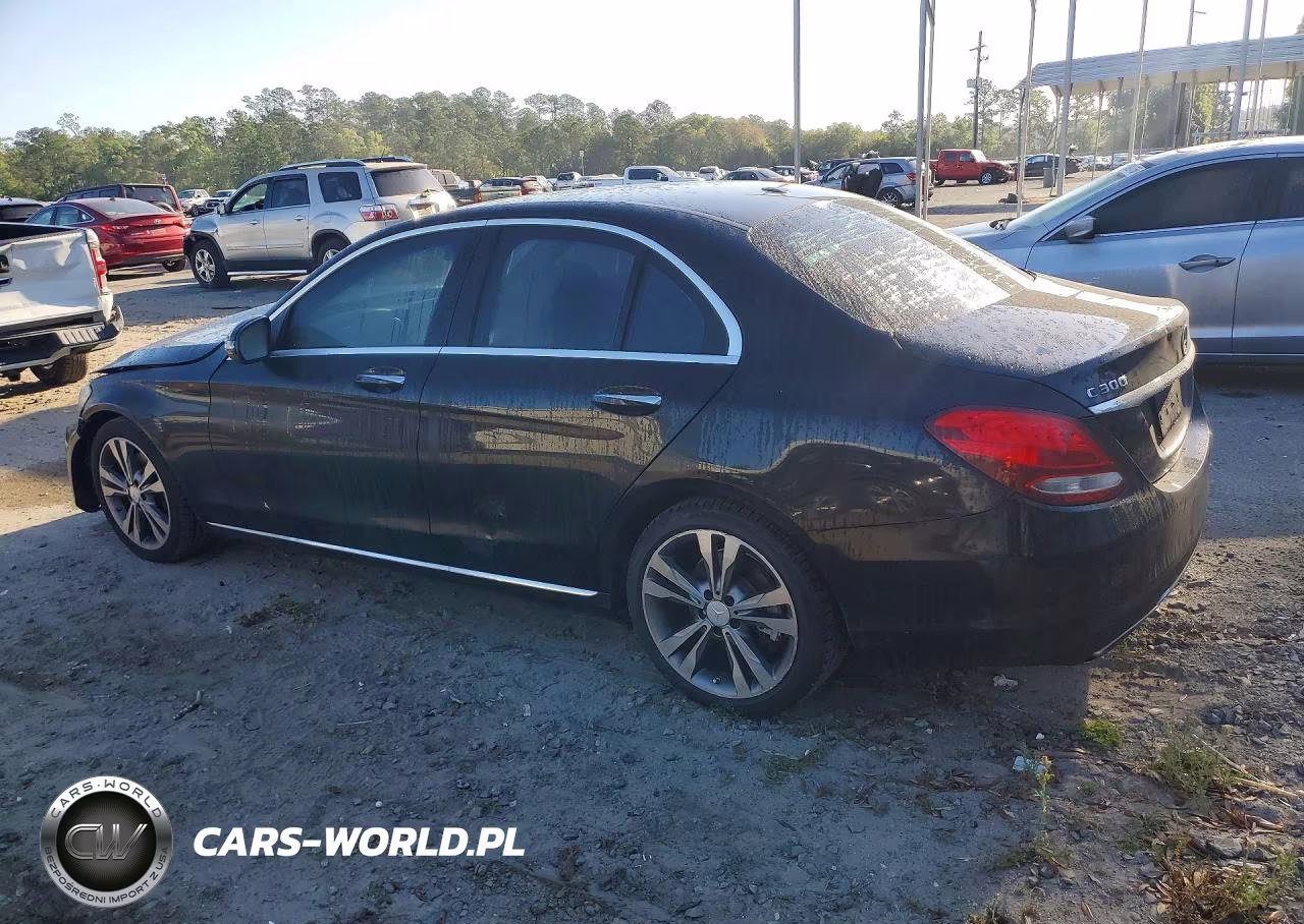 2016 Mercedes-Benz C 300 VIN:55SWF4JB9GU121359 - 2
