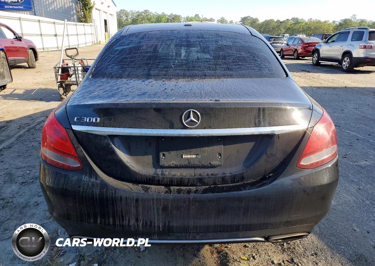 2016 Mercedes-Benz C 300 VIN:55SWF4JB9GU121359 - 6