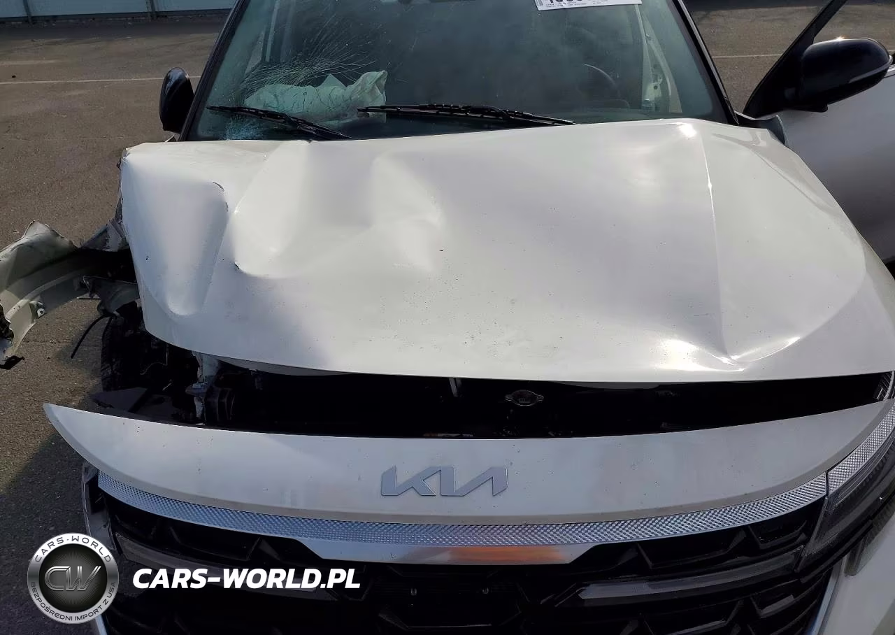 2024 Kia Seltos S VIN:KNDEUCAAXR7536879 - 12