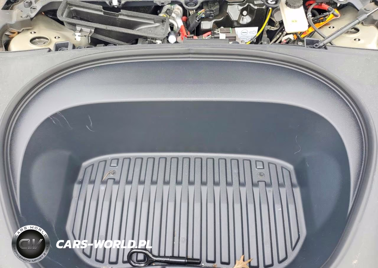2025 Tesla Model 3 VIN:5YJ3E1EA5SF077781 - 11