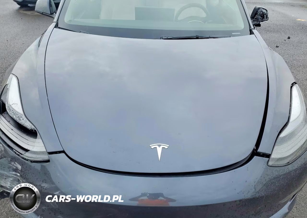 2023 Tesla Model 3 VIN:5YJ3E1EA9PF699730 - 11