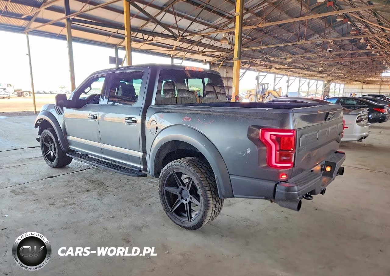 2019 Ford F150 Raptor VIN:1FTFW1RG0KFB79221 - 2