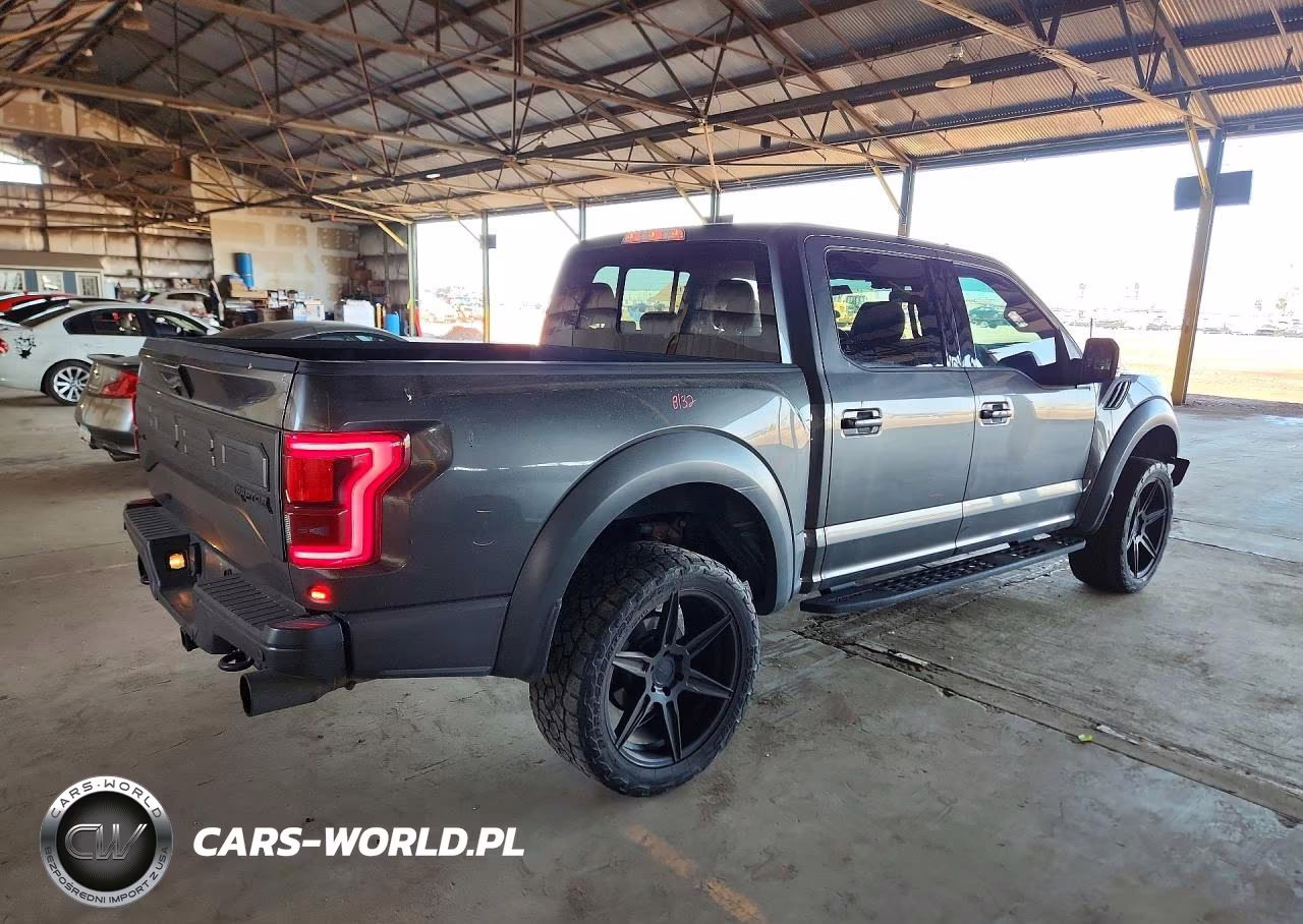 2019 Ford F150 Raptor VIN:1FTFW1RG0KFB79221 - 3