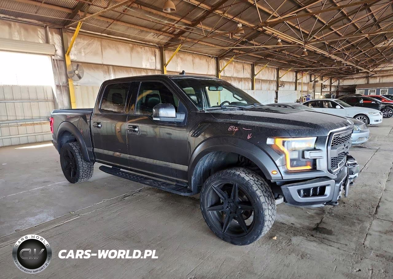 2019 Ford F150 Raptor VIN:1FTFW1RG0KFB79221 - 4