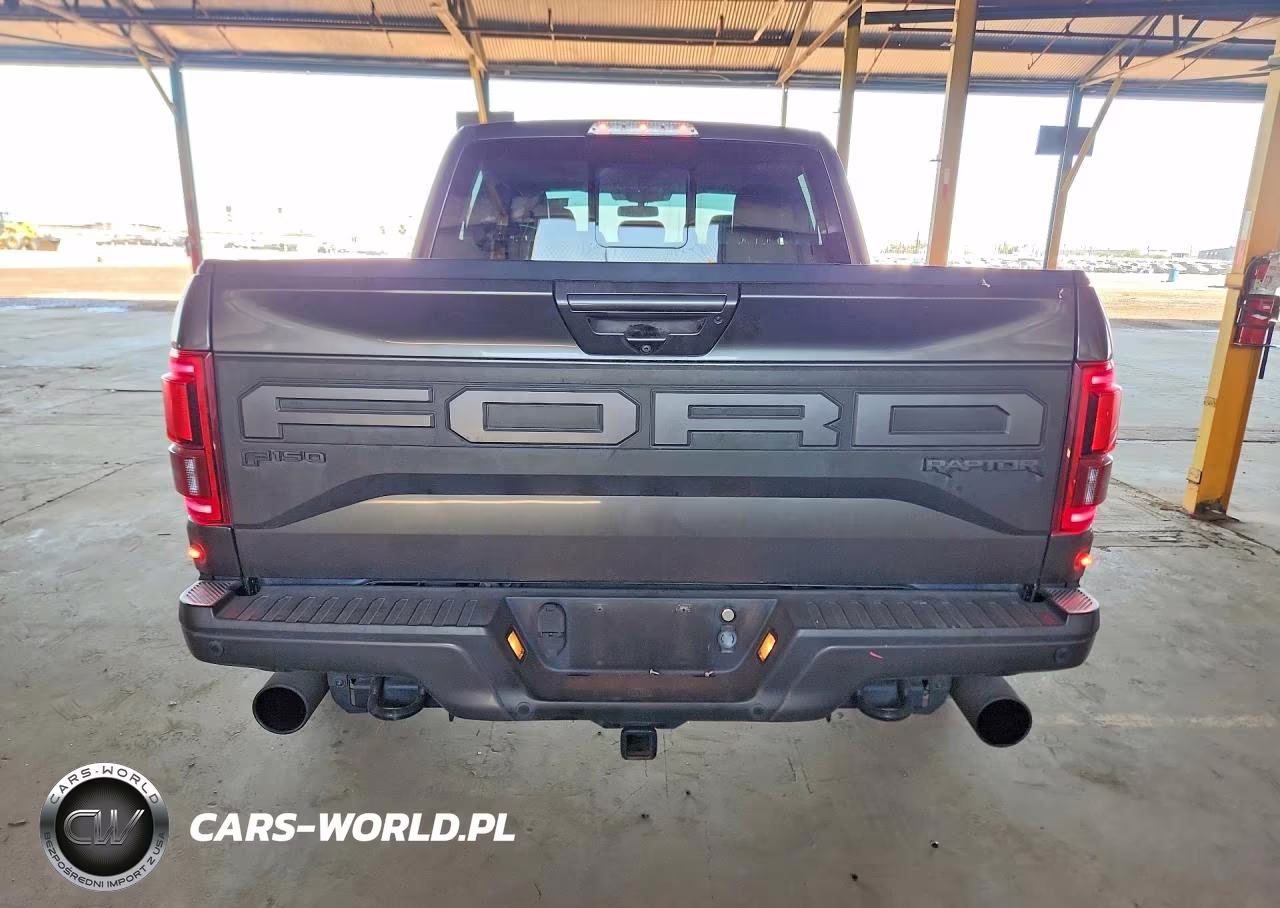 2019 Ford F150 Raptor VIN:1FTFW1RG0KFB79221 - 6