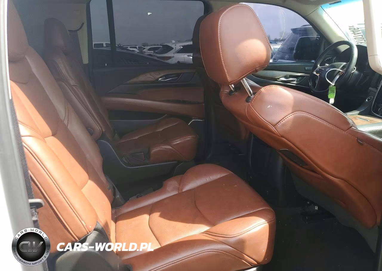 2019 Cadillac Escalade Esv Premium Luxury VIN:1GYS4JKJXKR204550 - 10