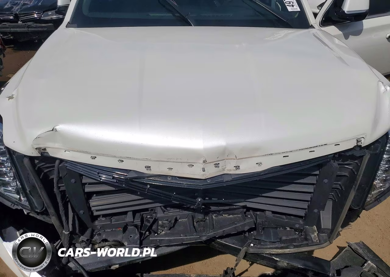 2019 Cadillac Escalade Esv Premium Luxury VIN:1GYS4JKJXKR204550 - 11