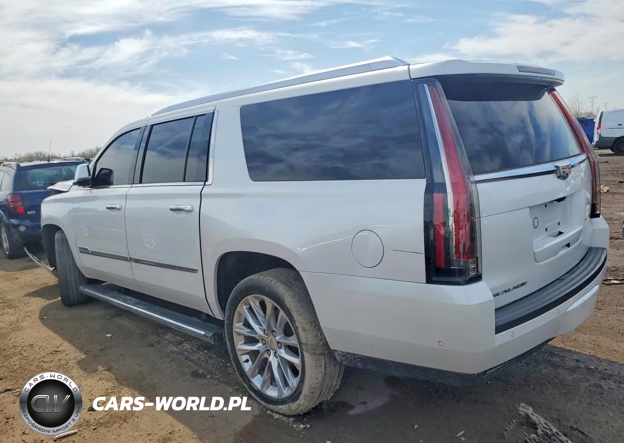 2019 Cadillac Escalade Esv Premium Luxury VIN:1GYS4JKJXKR204550 - 2