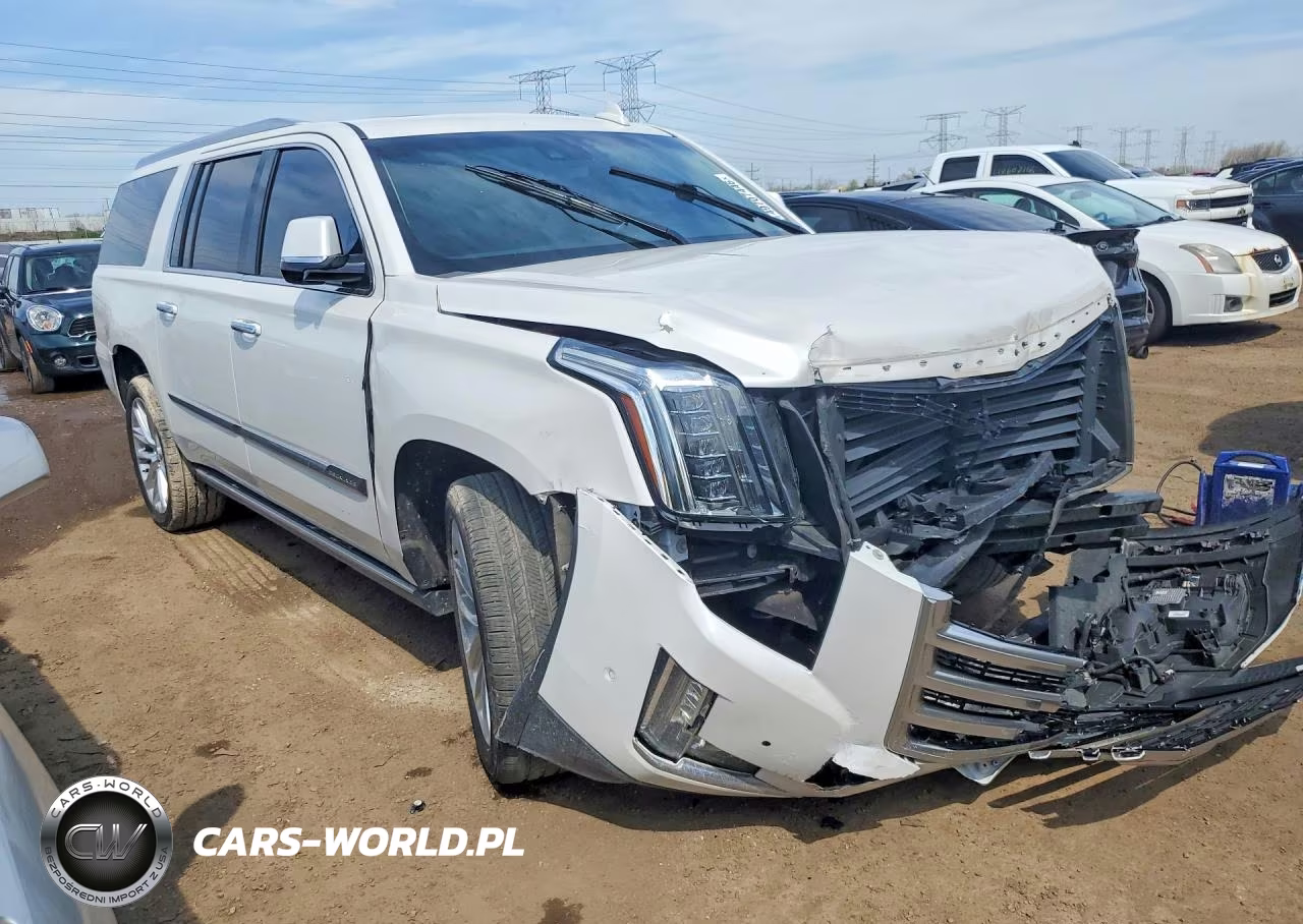 2019 Cadillac Escalade Esv Premium Luxury VIN:1GYS4JKJXKR204550 - 4
