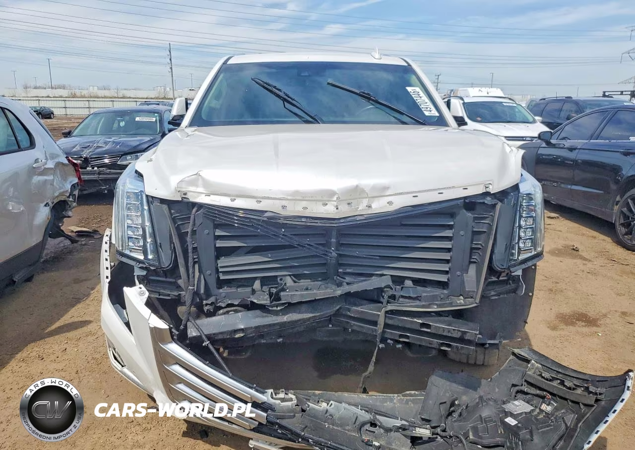 2019 Cadillac Escalade Esv Premium Luxury VIN:1GYS4JKJXKR204550 - 5