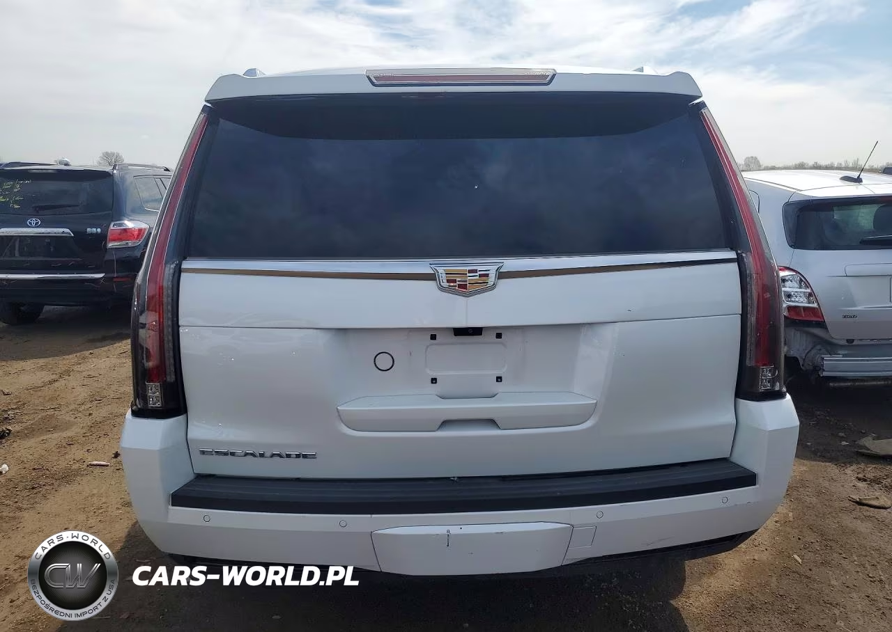 2019 Cadillac Escalade Esv Premium Luxury VIN:1GYS4JKJXKR204550 - 6