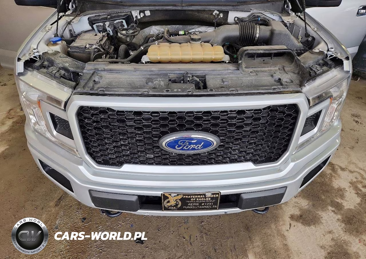 2019 Ford F150 Supercrew VIN:1FTEW1EP0KFC54548 - 11
