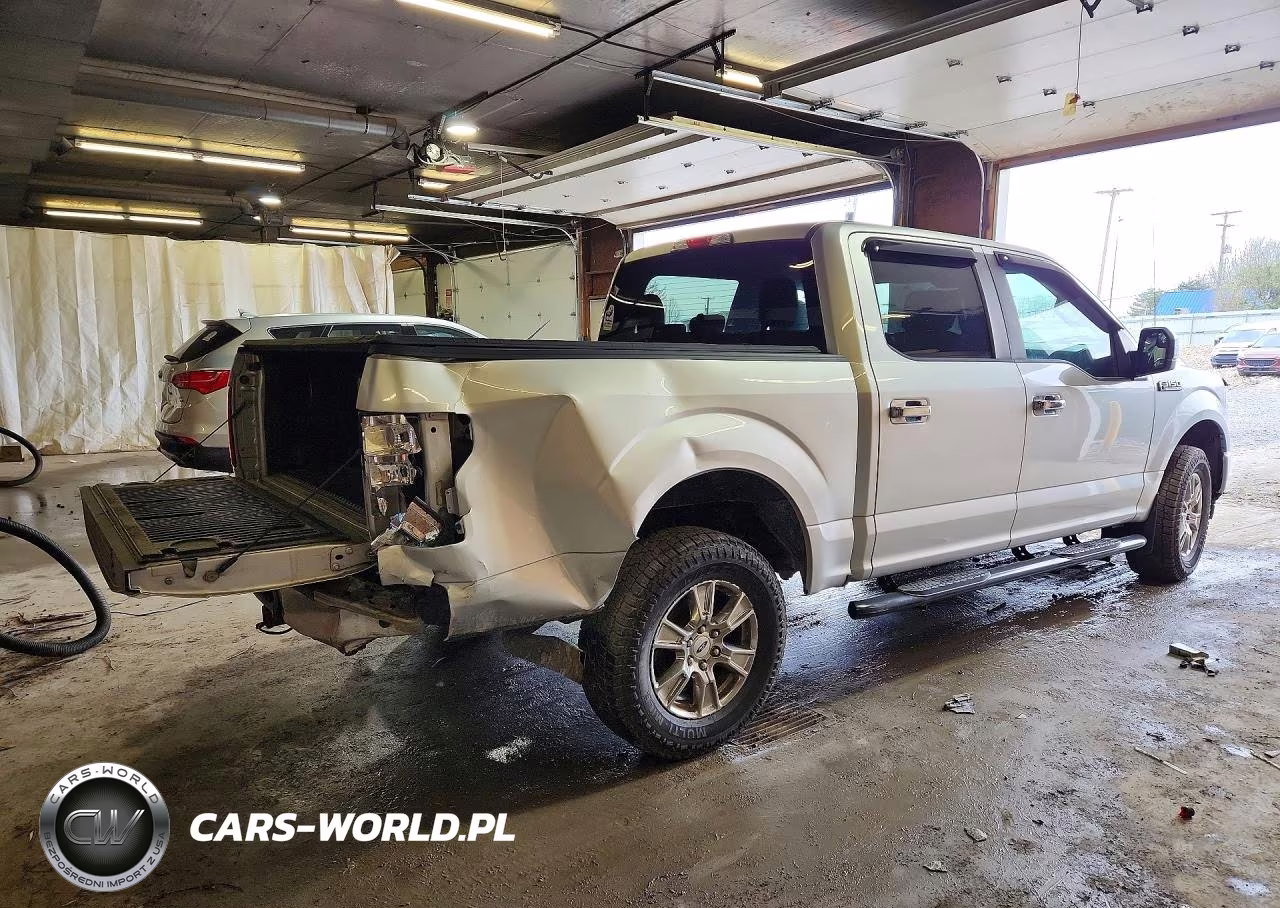 2019 Ford F150 Supercrew VIN:1FTEW1EP0KFC54548 - 3