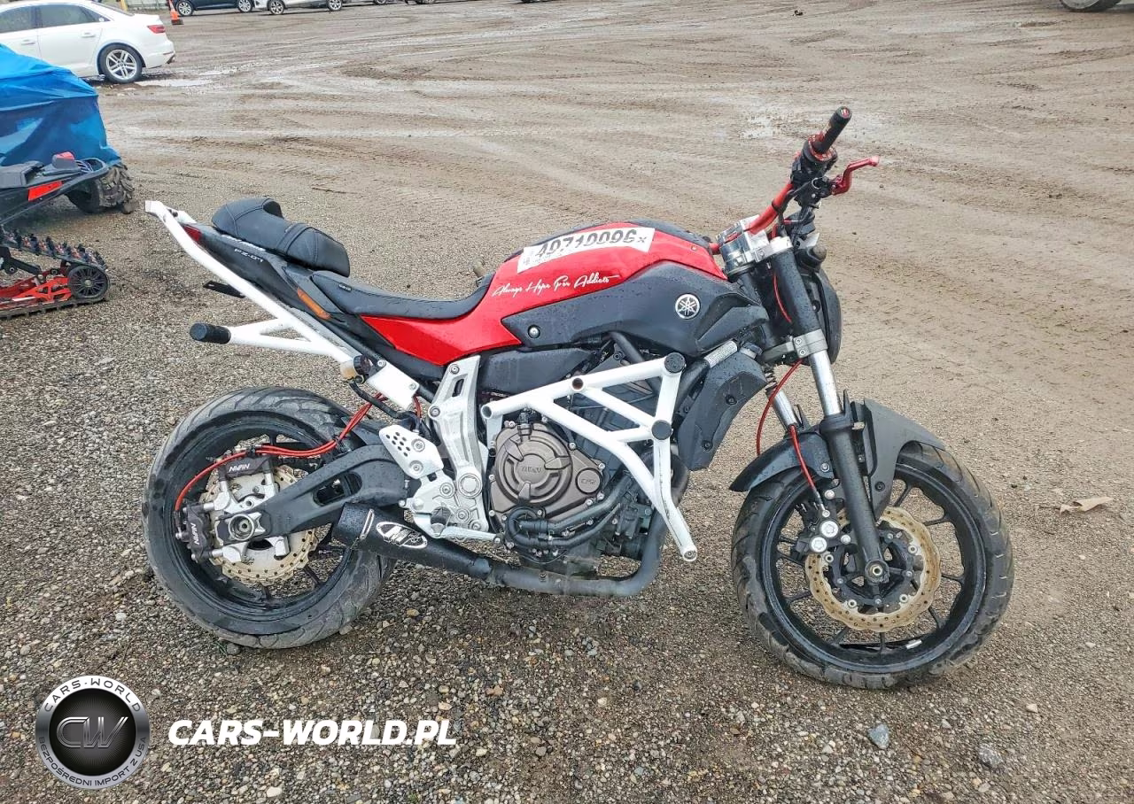 2015 Yamaha Fz07