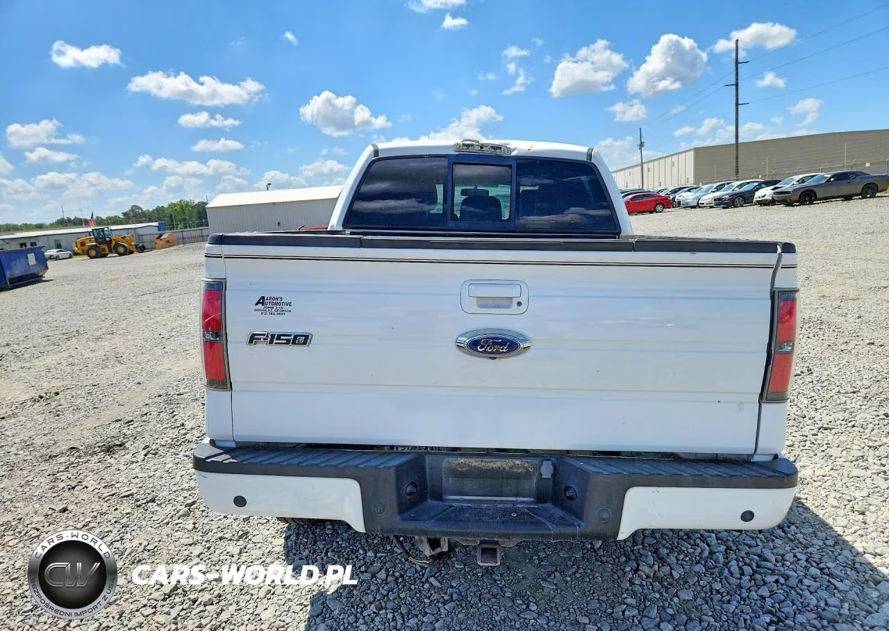 2011 Ford F150 Supercrew VIN:1FTFW1CF1BKE21439 - 6