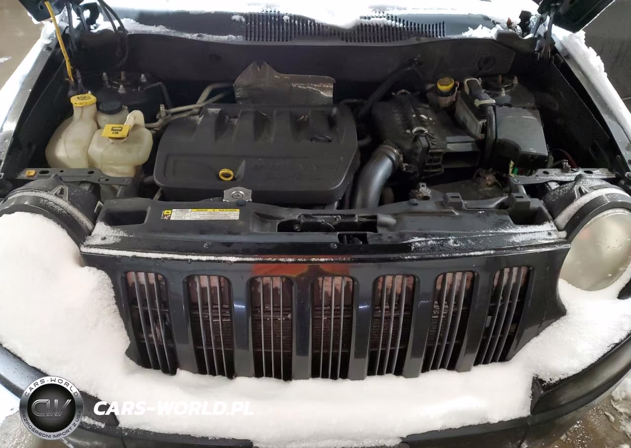 JEEP COMPASS SP VIN:1J4FF47B49D219695 - 12