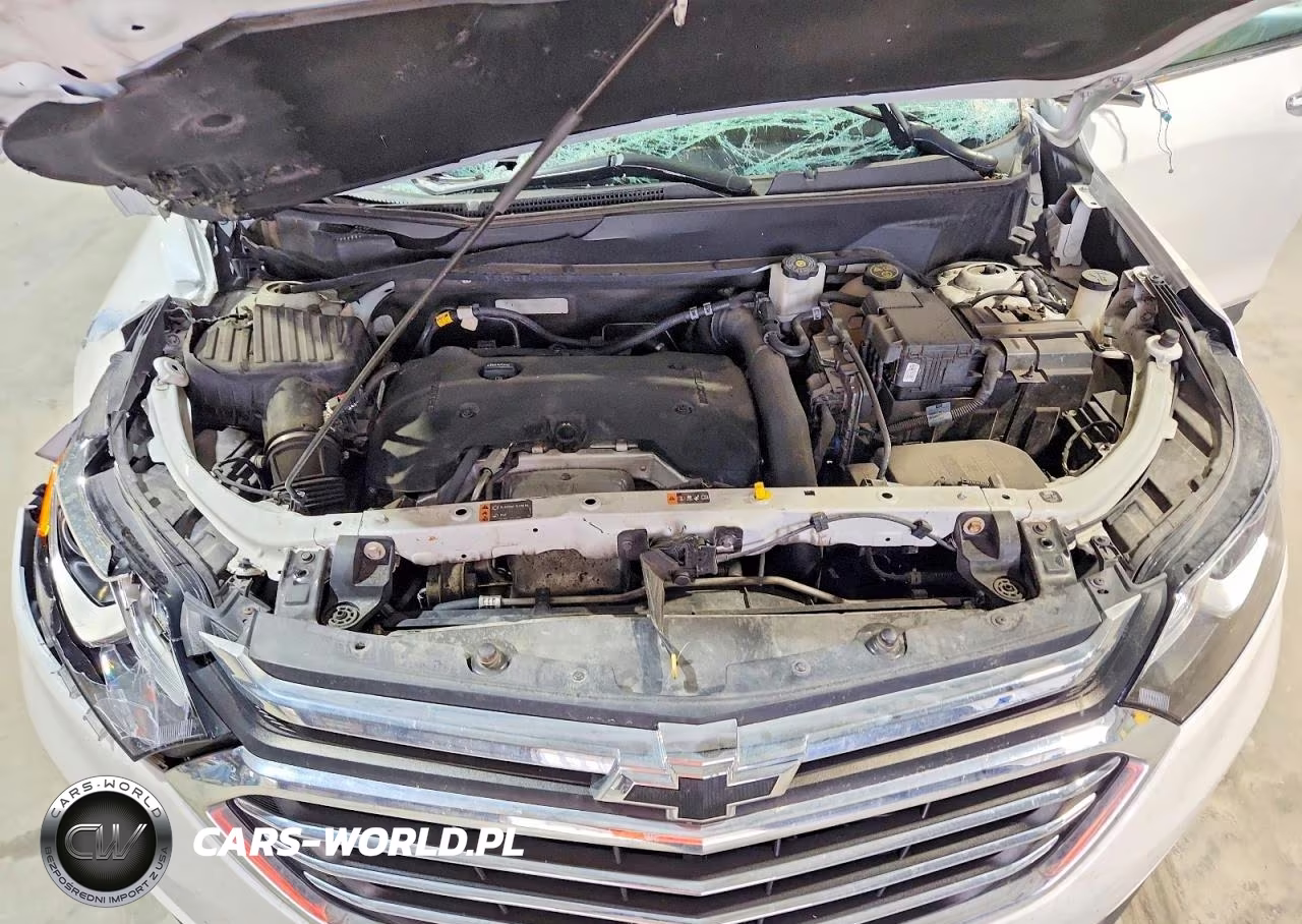 2019 Chevrolet Equinox Premier VIN:2GNAXPEX5K6255842 - 12