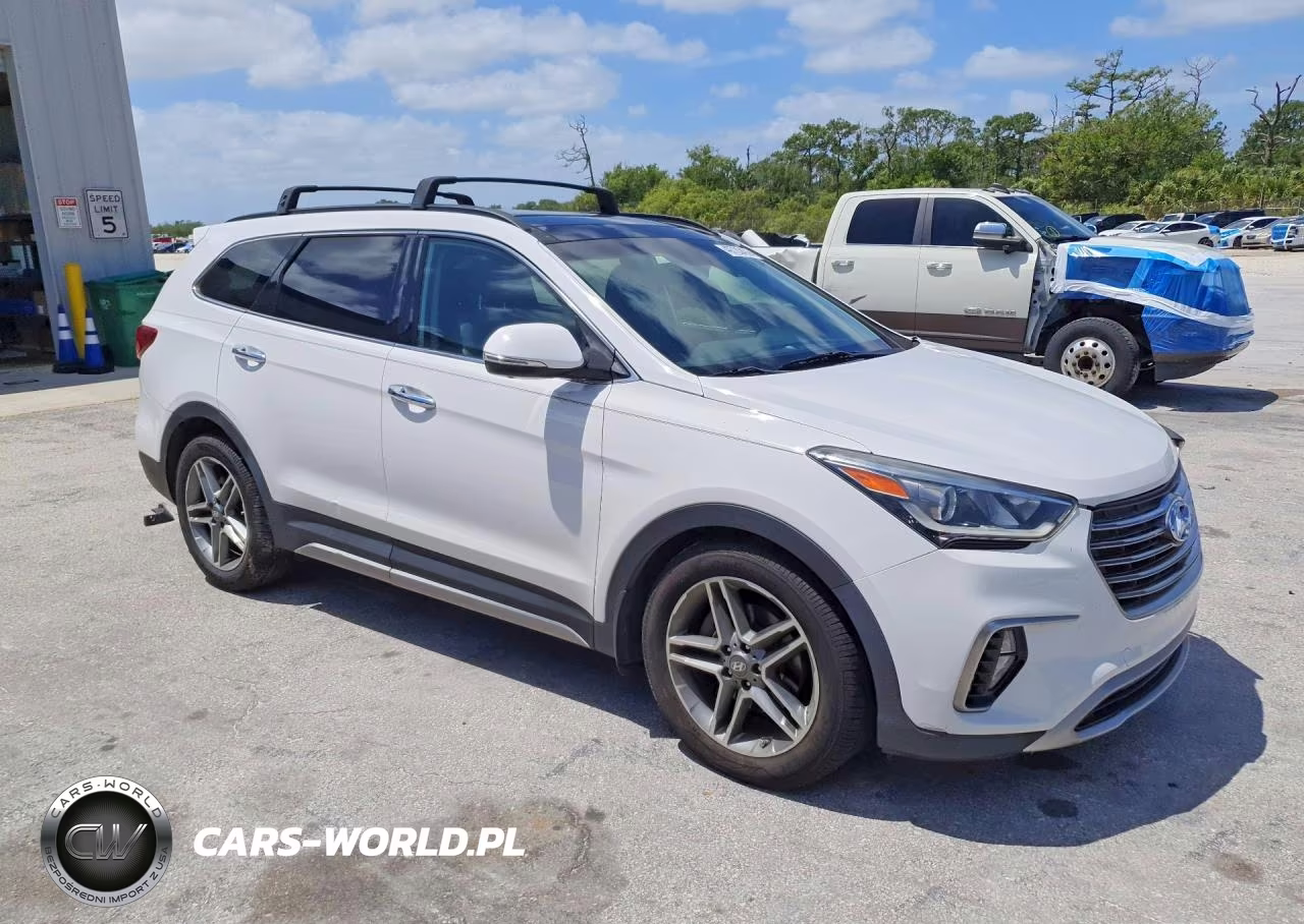 2018 Hyundai Santa Fe Limited Ultimate VIN:KM8SR4HF9JU270915 - 4