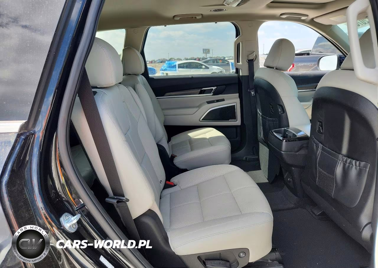 2021 Kia Telluride Ex VIN:5XYP3DHC8MG149543 - 11