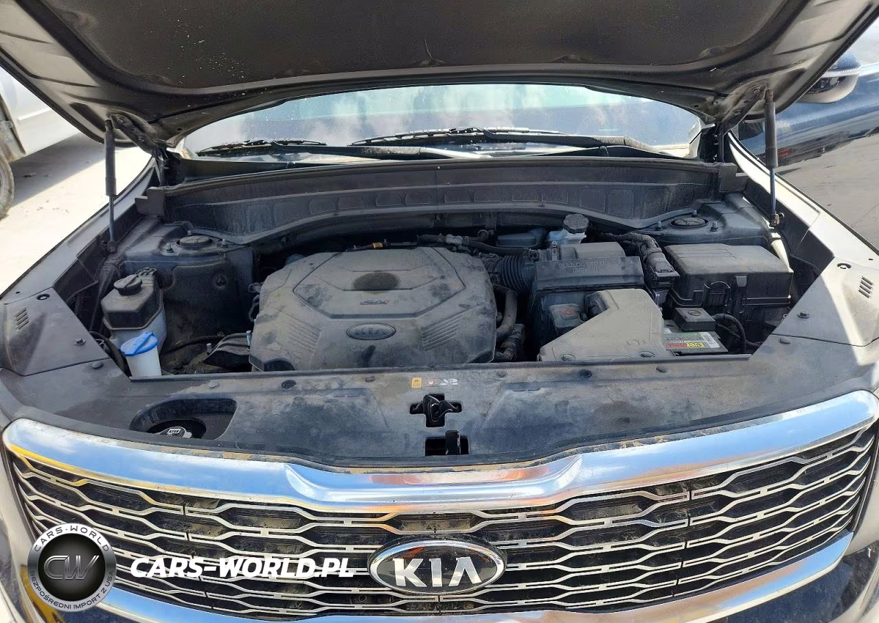 2021 Kia Telluride Ex VIN:5XYP3DHC8MG149543 - 12