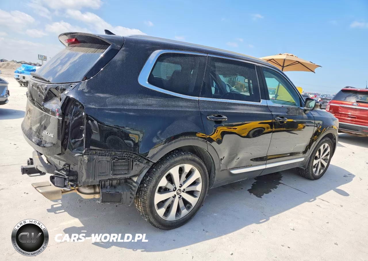 2021 Kia Telluride Ex VIN:5XYP3DHC8MG149543 - 3