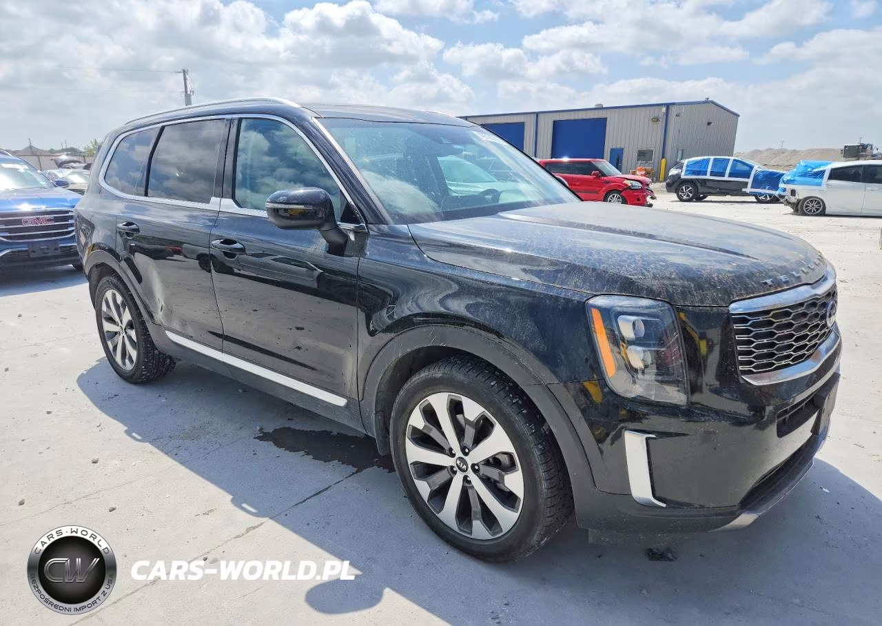2021 Kia Telluride Ex VIN:5XYP3DHC8MG149543 - 4
