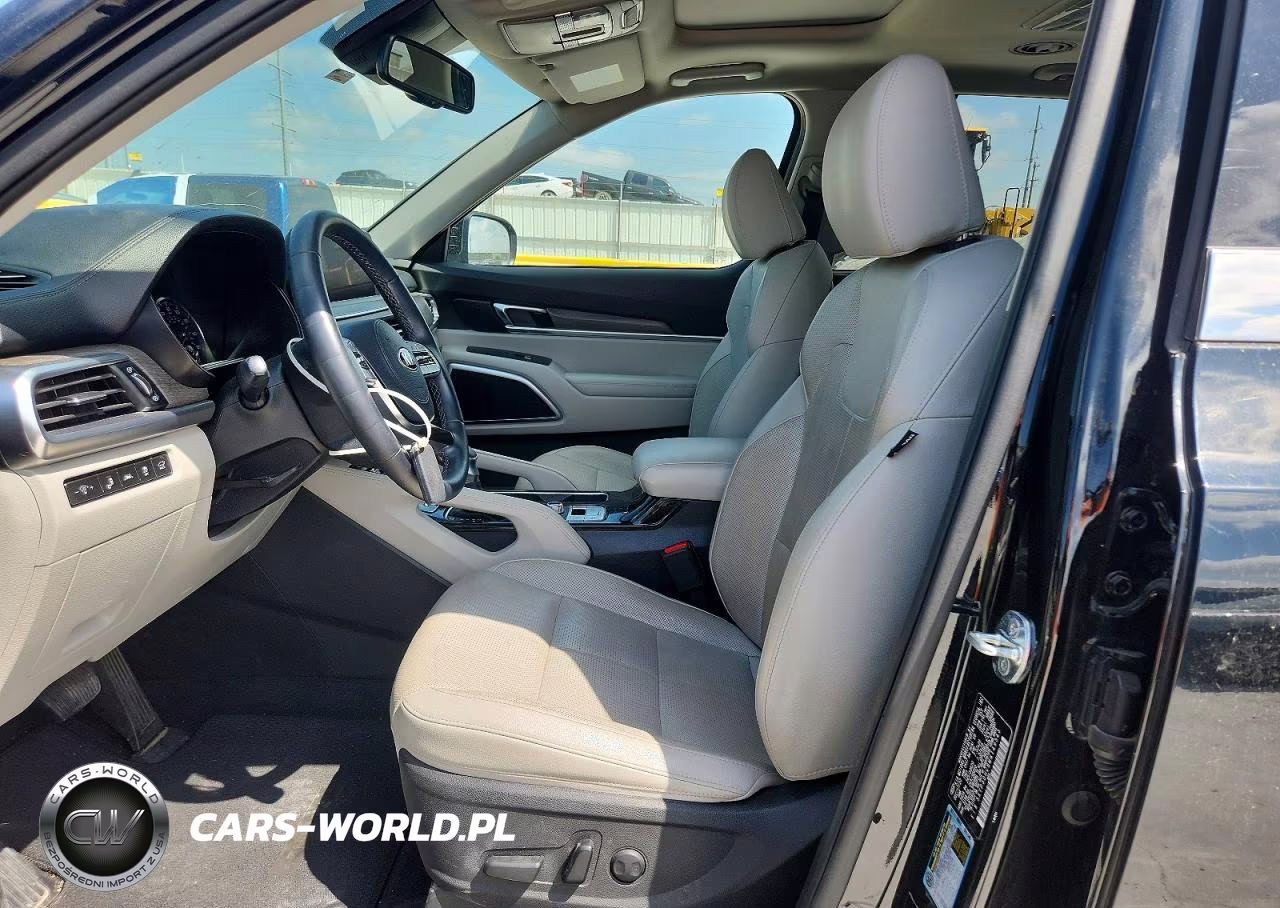 2021 Kia Telluride Ex VIN:5XYP3DHC8MG149543 - 7