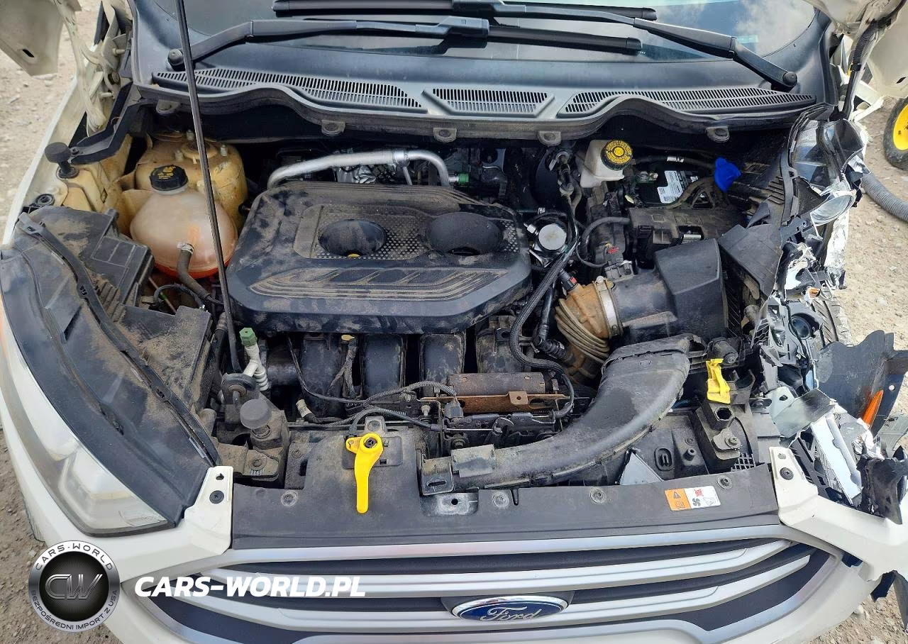 2018 Ford Ecosport Se VIN:MAJ6P1UL9JC182934 - 11