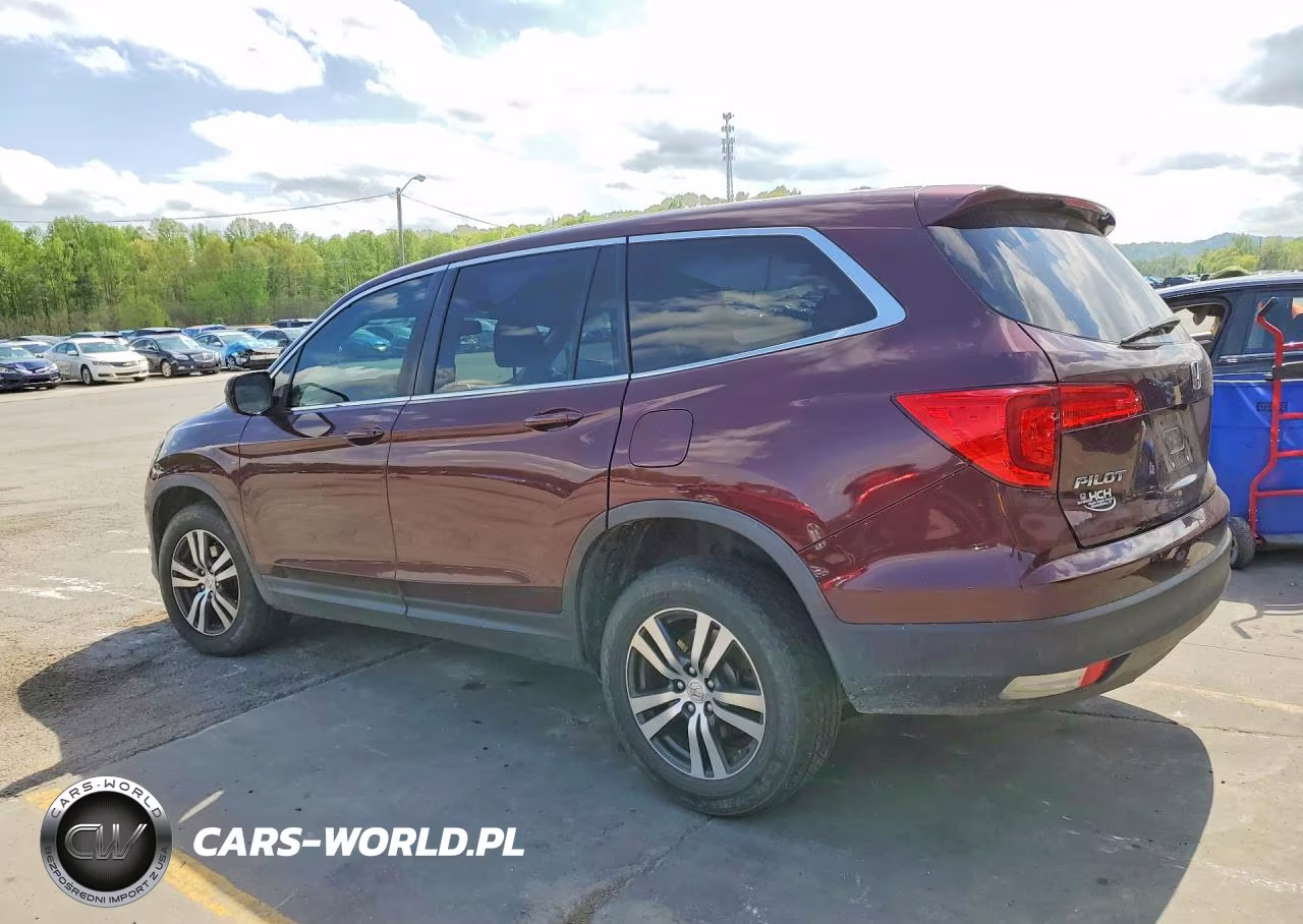 2017 Honda Pilot Exl VIN:5FNYF6H51HB031579 - 2