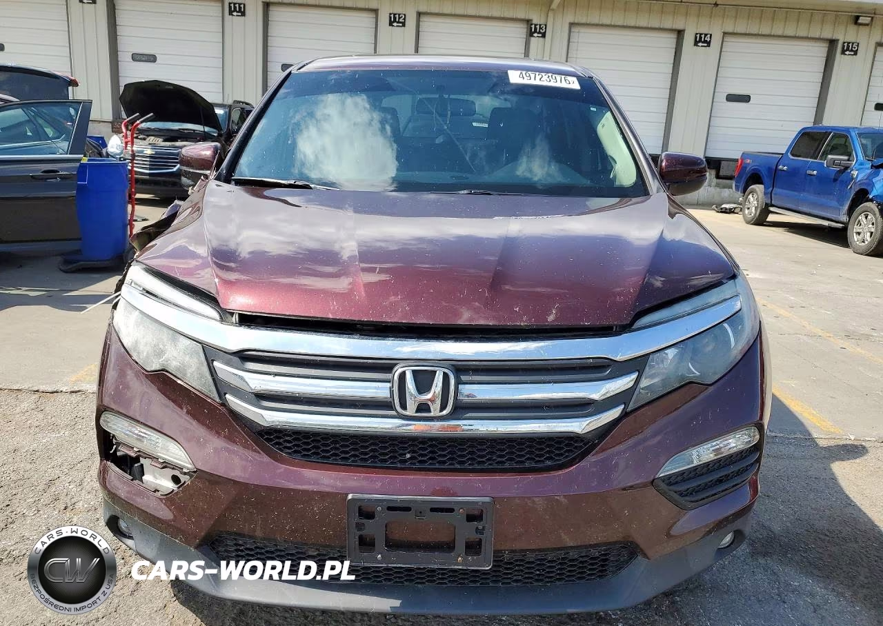 2017 Honda Pilot Exl VIN:5FNYF6H51HB031579 - 5