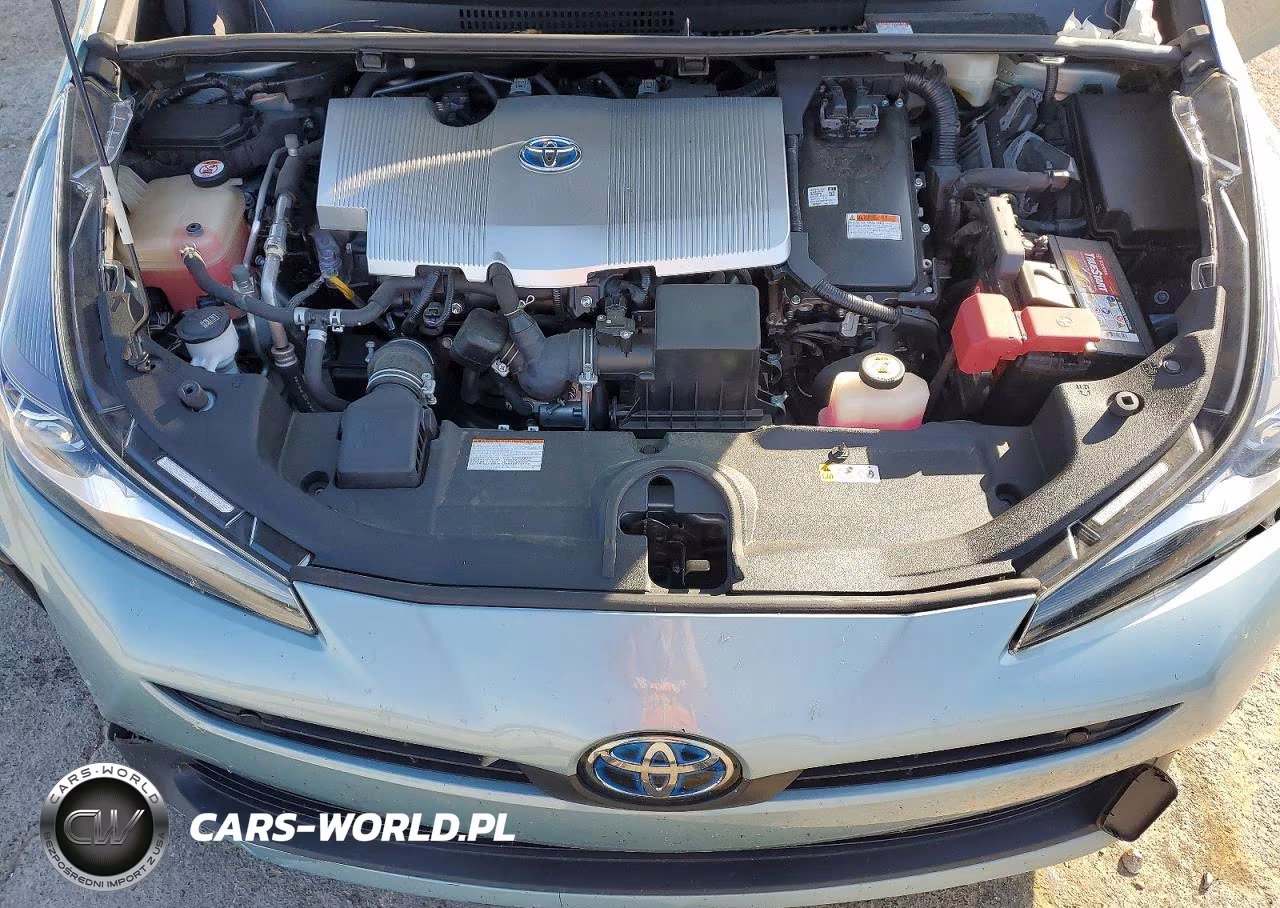 2019 Toyota Prius Le VIN:JTDKARFU2K3093853 - 11