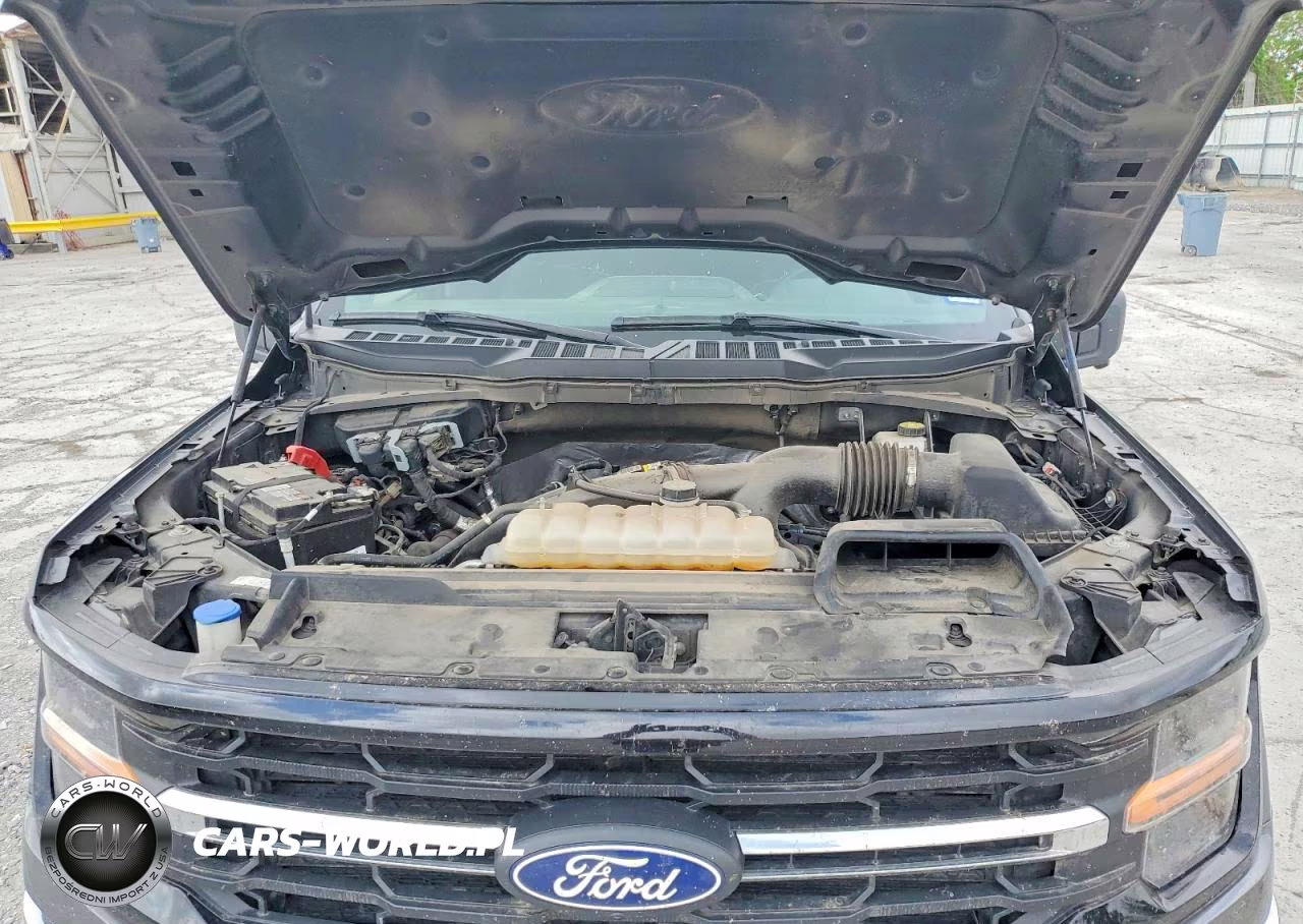 2024 Ford F150 Xlt VIN:1FTEW3LP2RKD13132 - 11