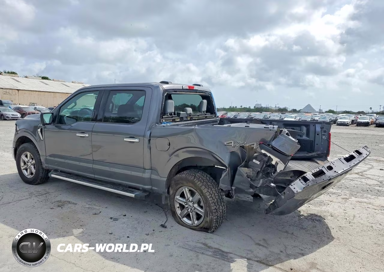 2024 Ford F150 Xlt VIN:1FTEW3LP2RKD13132 - 2
