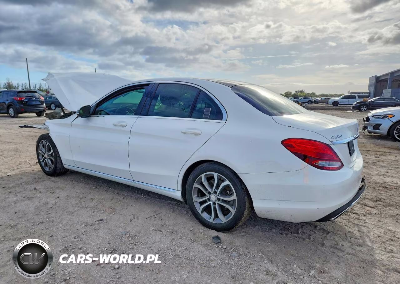 2017 Mercedes-Benz C 300 VIN:55SWF4JB1HU203099 - 2