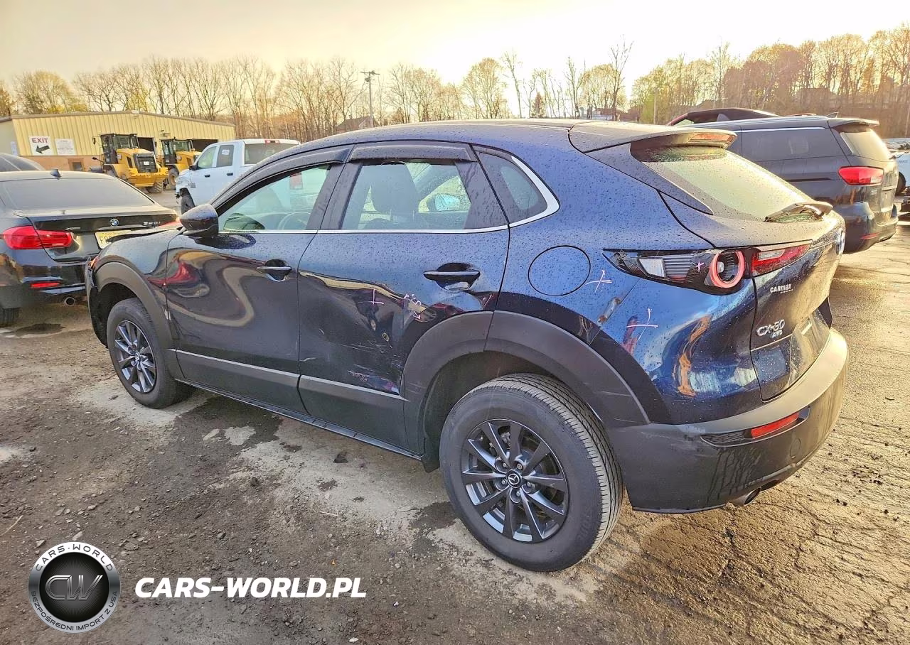 2021 Mazda Cx-30 VIN:3MVDMBAL9MM300308 - 2