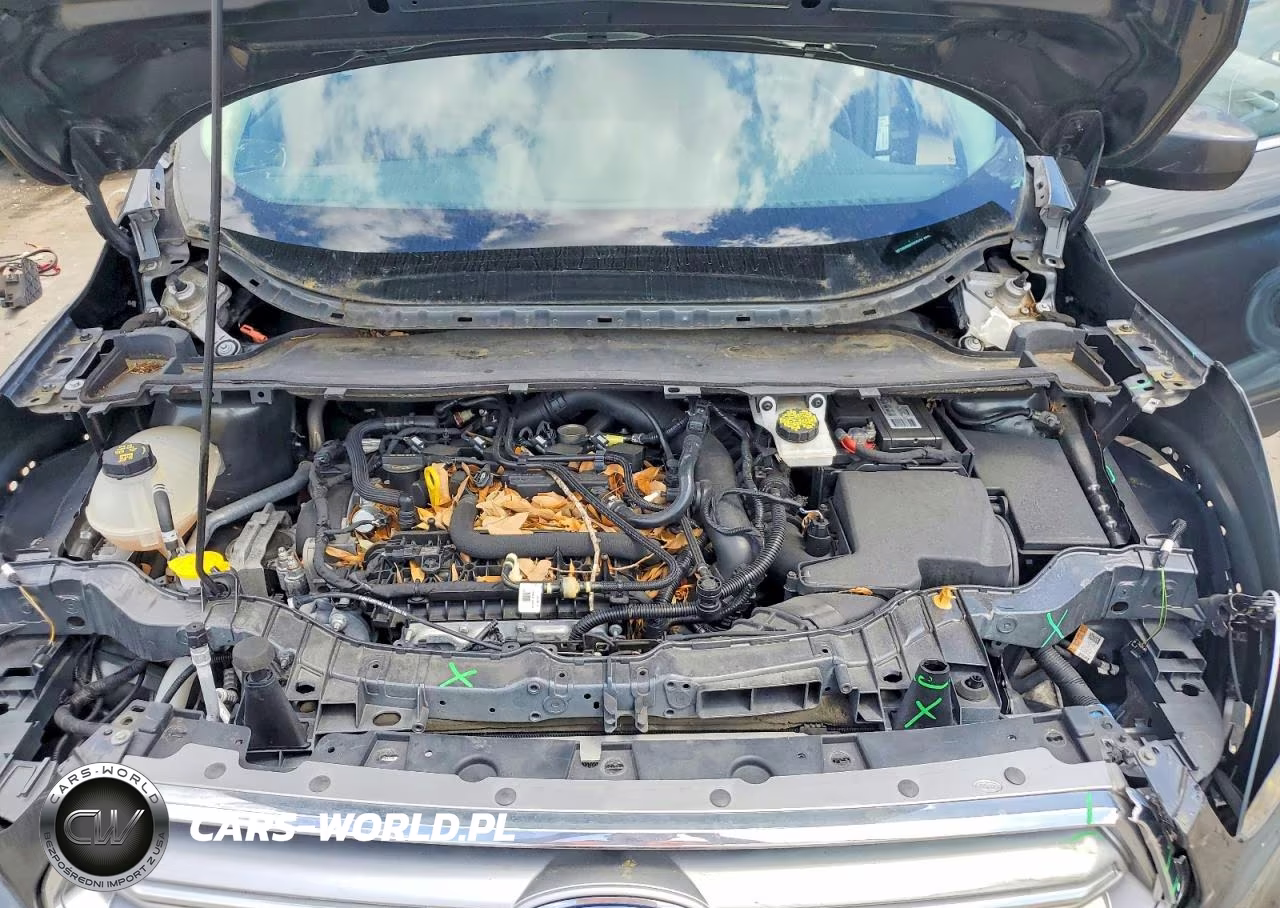 2019 Ford Escape Sel VIN:1FMCU9HD8KUA75131 - 12