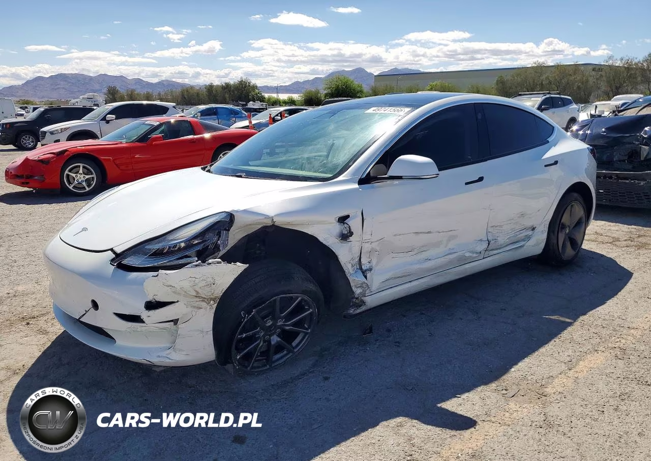 2020 Tesla Model 3