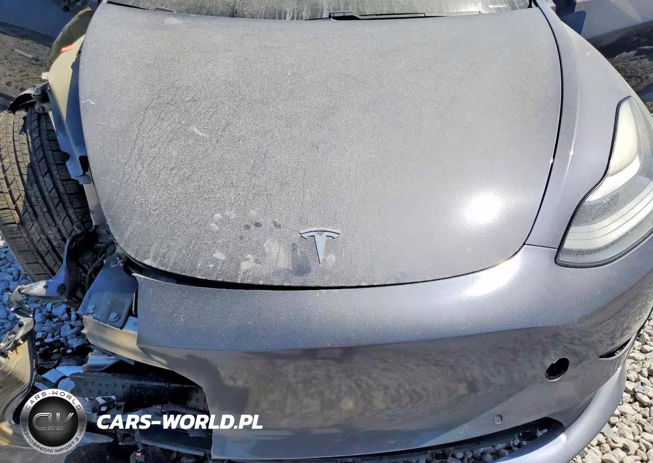2021 Tesla Model 3 VIN:5YJ3E1EC2MF973315 - 11