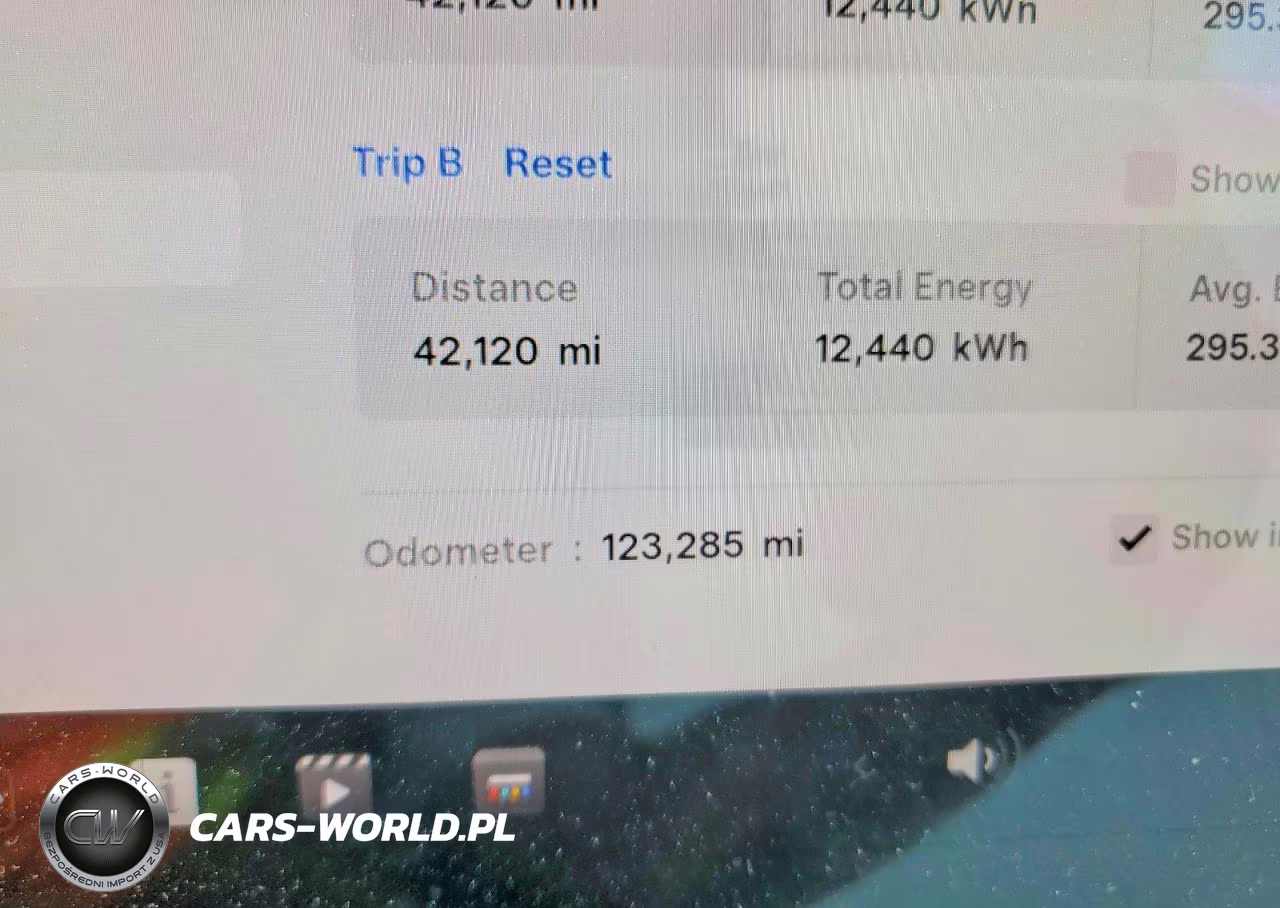 2021 Tesla Model 3 VIN:5YJ3E1EC2MF973315 - 9