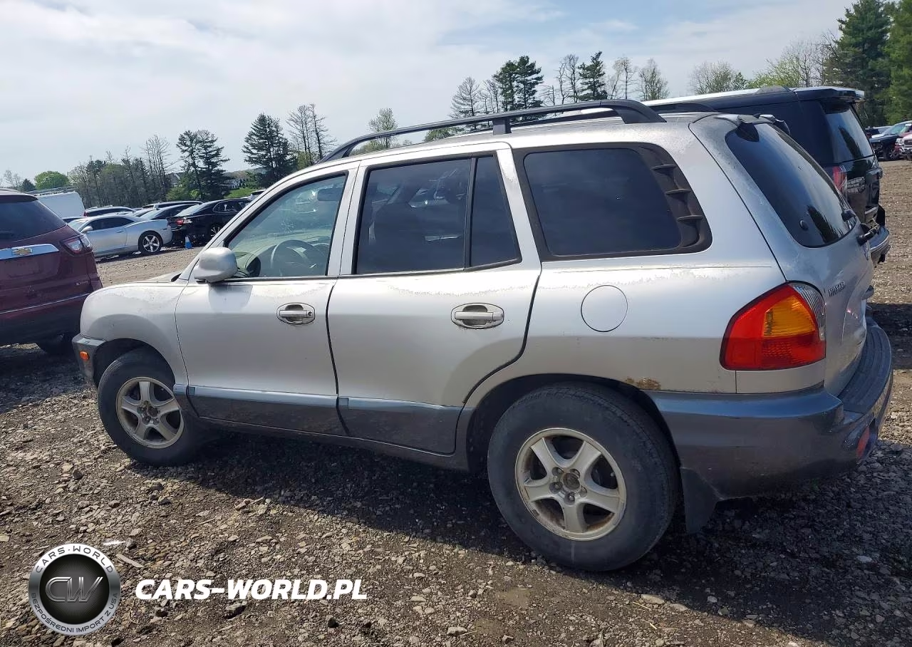 2003 Hyundai Santa Fe VIN:KM8SC73D03U410314 - 2