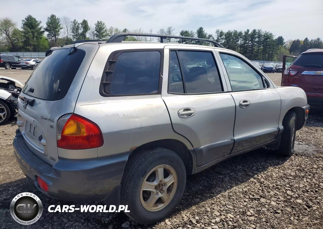 2003 Hyundai Santa Fe VIN:KM8SC73D03U410314 - 3