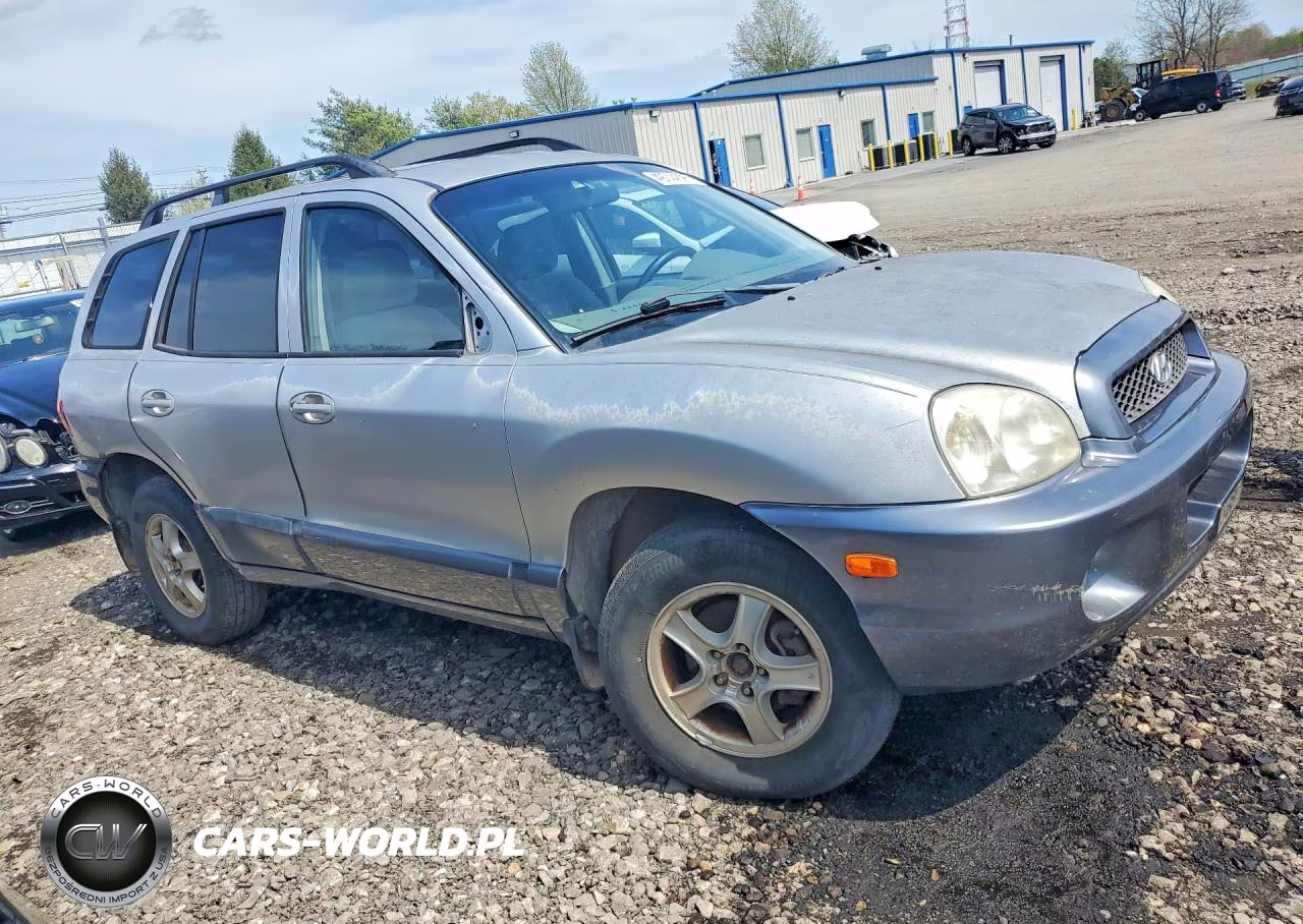 2003 Hyundai Santa Fe VIN:KM8SC73D03U410314 - 4