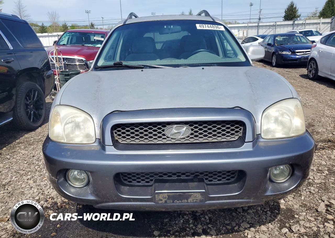 2003 Hyundai Santa Fe VIN:KM8SC73D03U410314 - 5