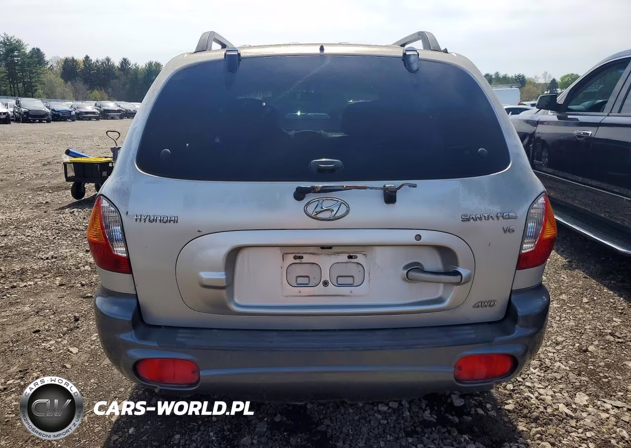 2003 Hyundai Santa Fe VIN:KM8SC73D03U410314 - 6