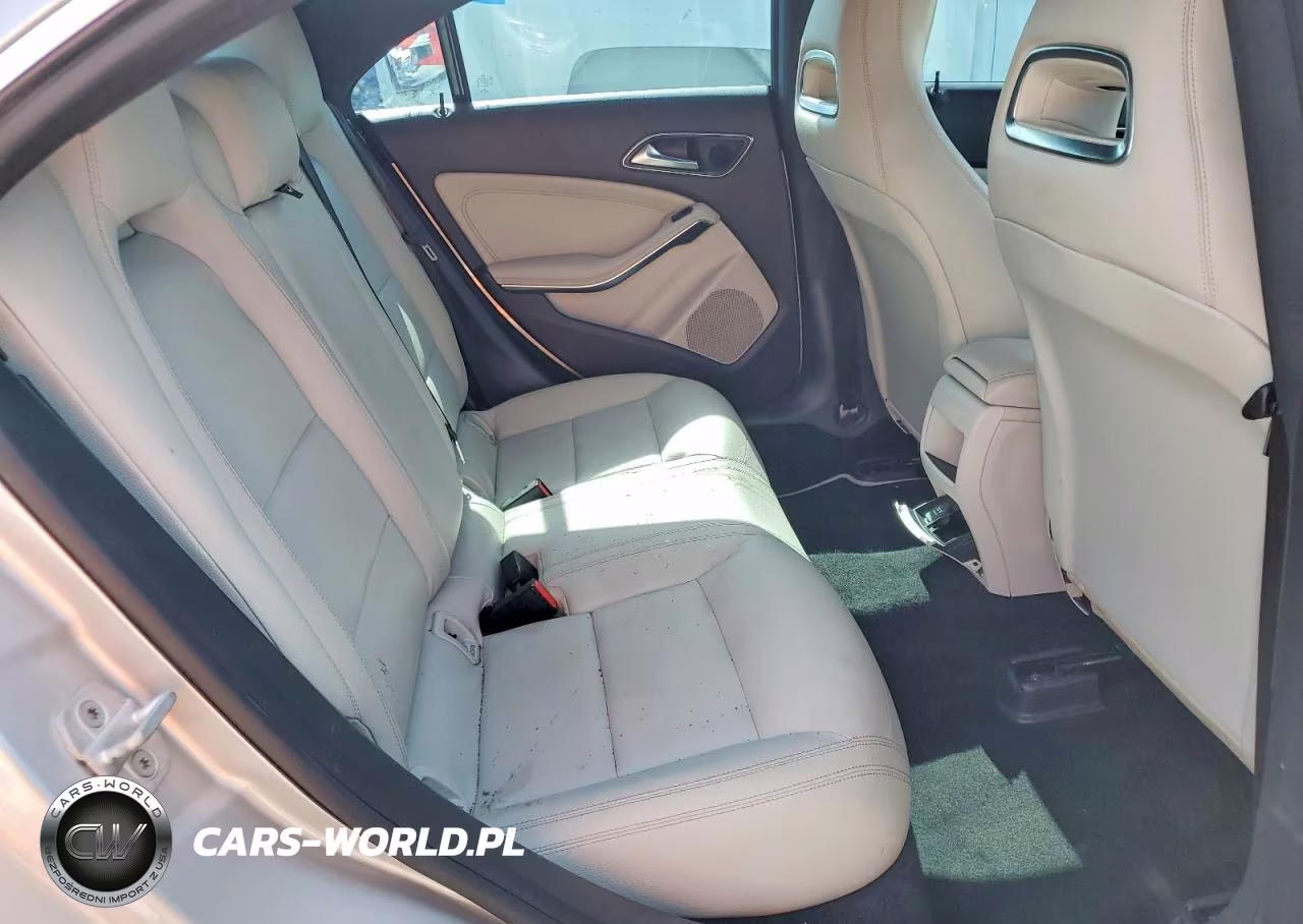 2014 Mercedes-Benz Cla 250 VIN:WDDSJ4EBXEN036124 - 10