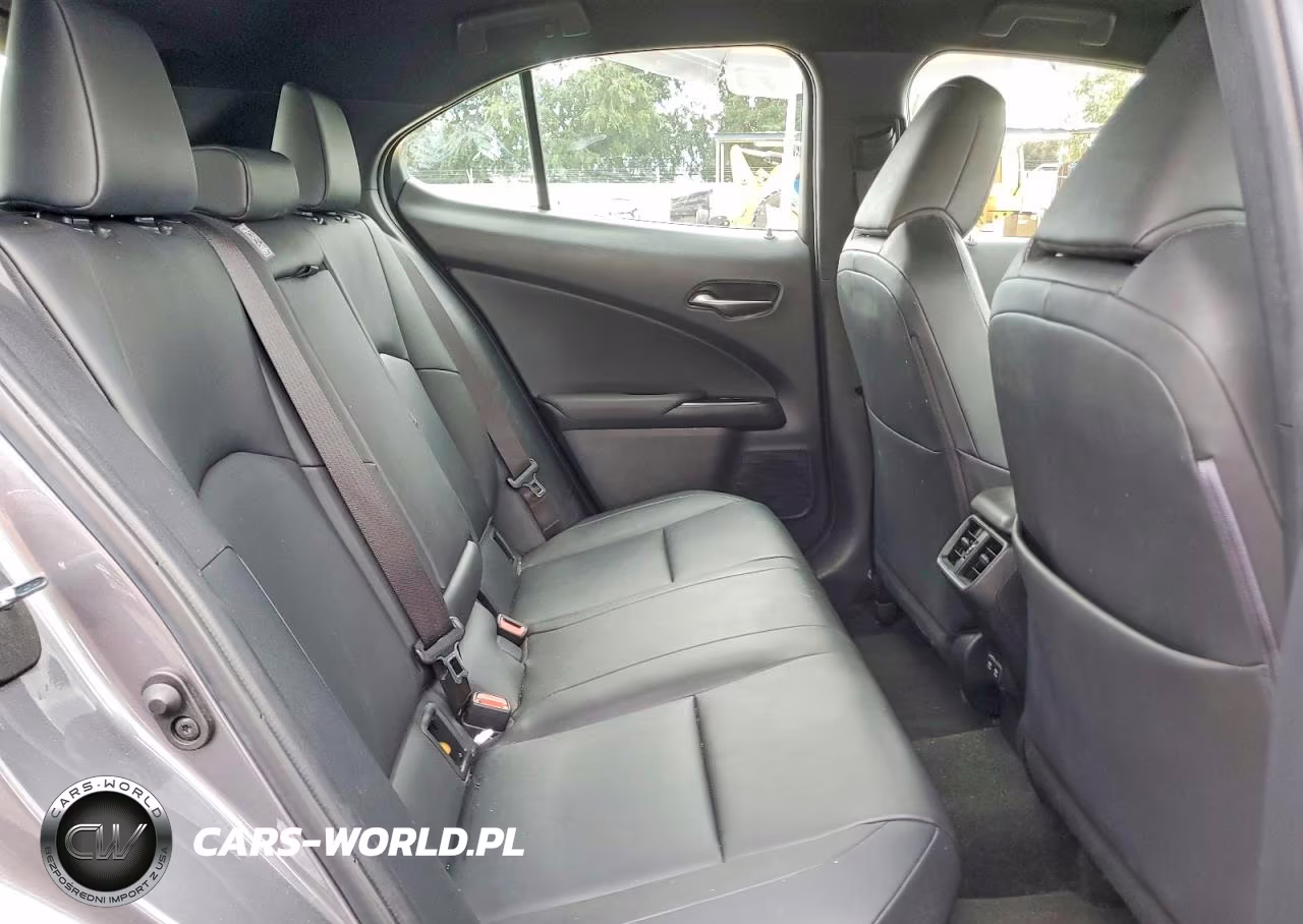 2020 Lexus Ux 250H VIN:JTHX9JBH2L2033375 - 11