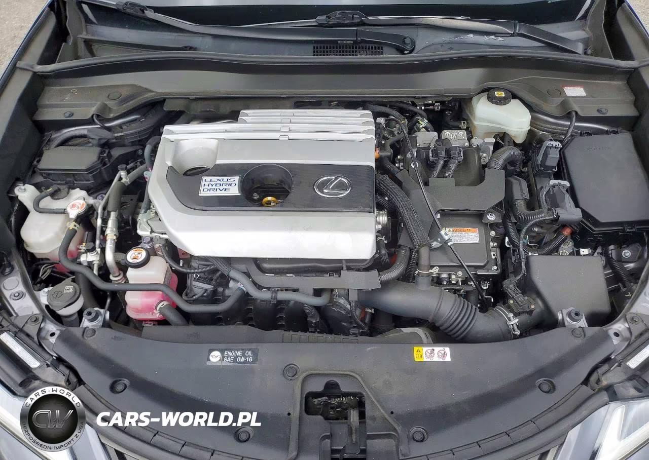 2020 Lexus Ux 250H VIN:JTHX9JBH2L2033375 - 12
