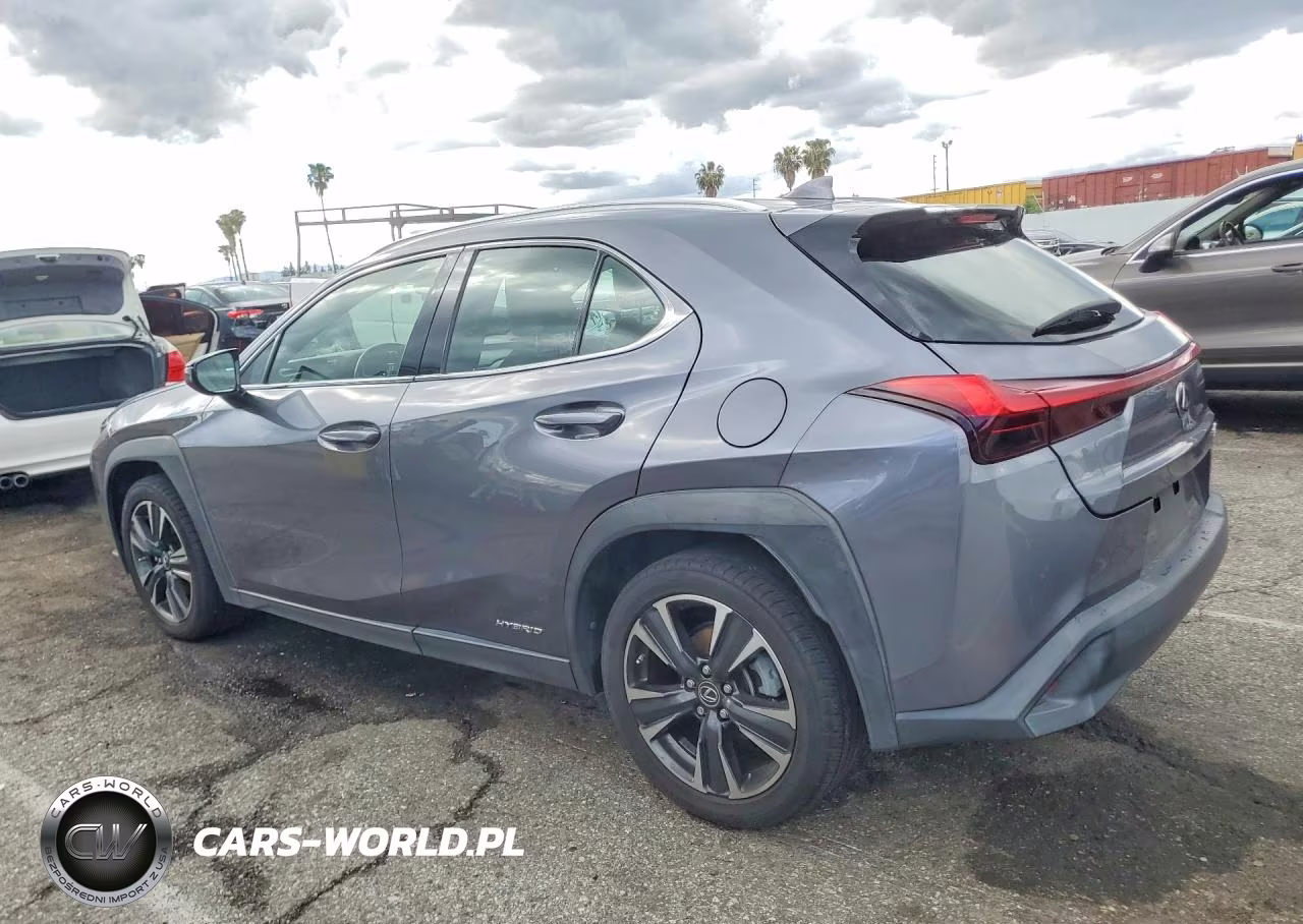 2020 Lexus Ux 250H VIN:JTHX9JBH2L2033375 - 2
