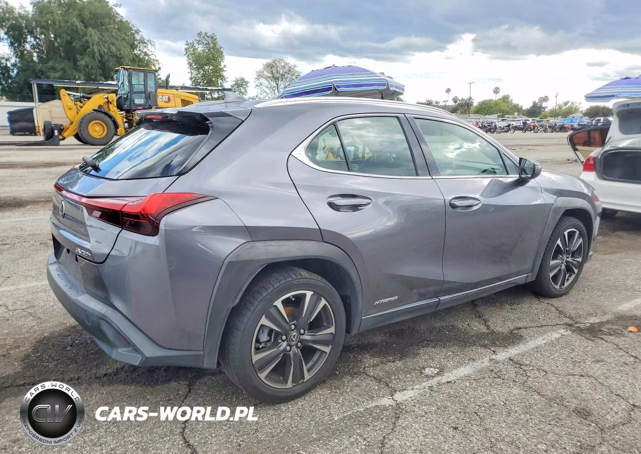 2020 Lexus Ux 250H VIN:JTHX9JBH2L2033375 - 3