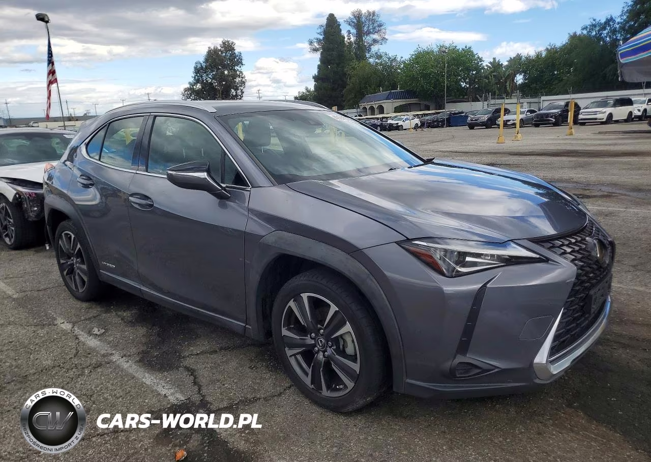 2020 Lexus Ux 250H VIN:JTHX9JBH2L2033375 - 4